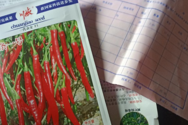 辣椒如何选种，辣椒选种时应当从种植环境、用途需求等方面考虑