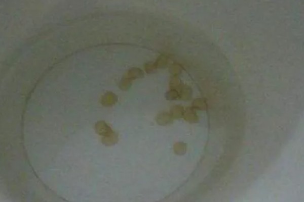 辣椒如何选种，辣椒选种时应当从种植环境、用途需求等方面考虑