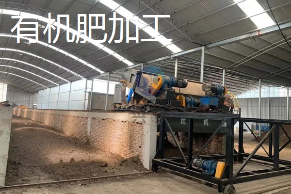 有什么致富项目，养殖大河乌猪、大雁等动物具有不错的效益