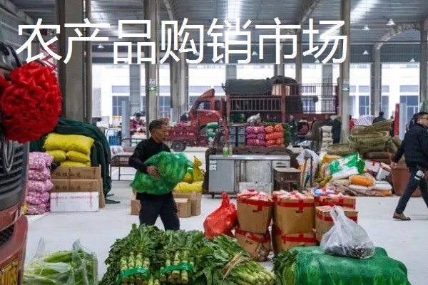 有什么致富项目，养殖大河乌猪、大雁等动物具有不错的效益