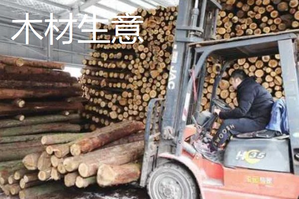 有什么致富项目，养殖大河乌猪、大雁等动物具有不错的效益