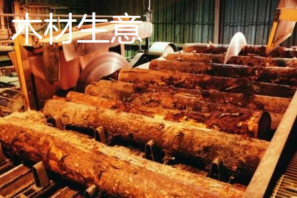 有什么致富项目，养殖大河乌猪、大雁等动物具有不错的效益