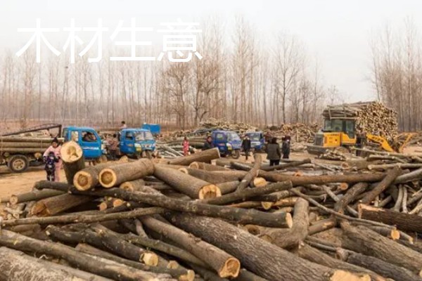 有什么致富项目，养殖大河乌猪、大雁等动物具有不错的效益