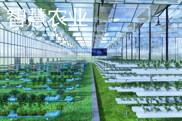 有什么致富项目，养殖大河乌猪、大雁等动物具有不错的效益