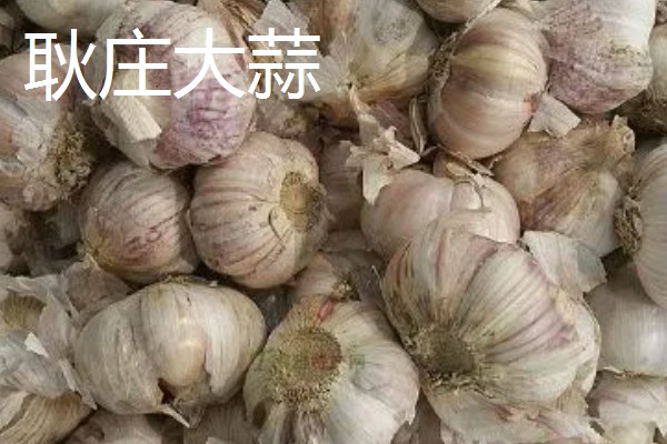 辽宁海城市的特产，有南果梨、海城馅饼等