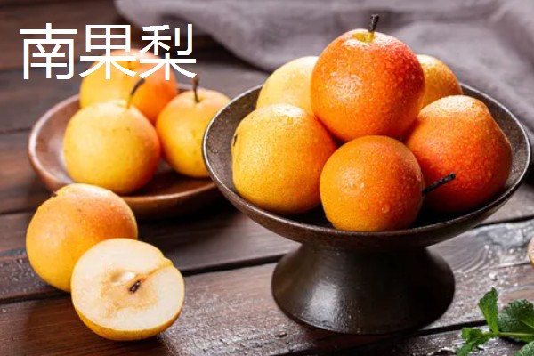 辽宁海城市的特产，有南果梨、海城馅饼等