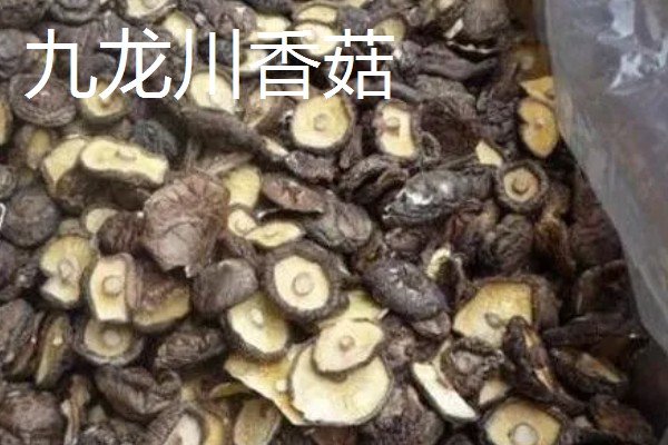 辽宁海城市的特产，有南果梨、海城馅饼等