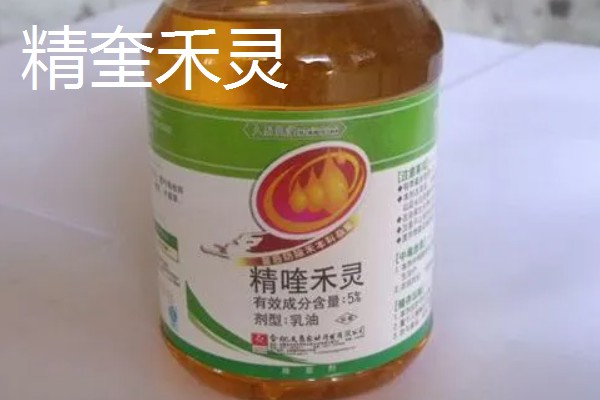 精奎禾灵和盖草能的区别，适用范围不同