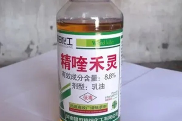精奎禾灵和盖草能的区别，适用范围不同