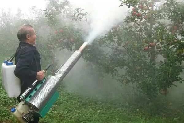 苹果果锈病的症状，果实表面产生类似金属锈状的木栓层