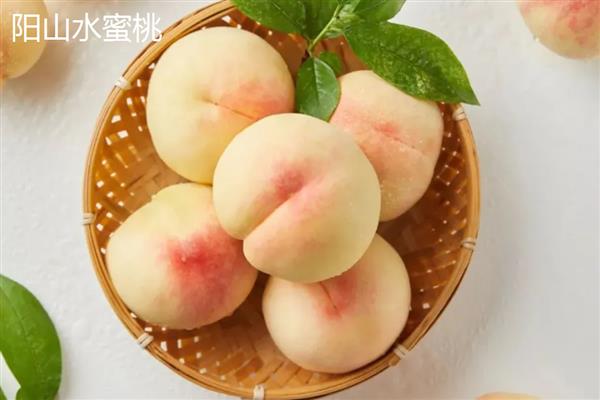 水蜜桃种子的种植方式，选择健康品种的水蜜桃种子