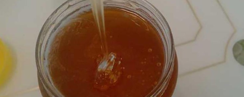 桉树蜂蜜介绍，是蜜蜂采集桉树花蜜酿制成的