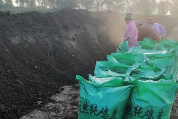 有机肥对果树的效果，可以改良土壤、刺激生长等