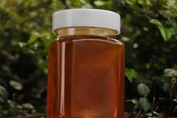 桉树蜂蜜介绍，是蜜蜂采集桉树花蜜酿制成的