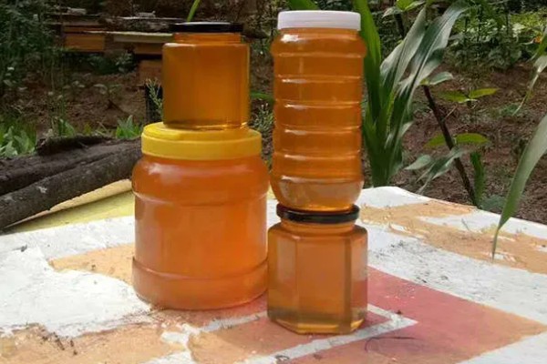 桉树蜂蜜介绍，是蜜蜂采集桉树花蜜酿制成的