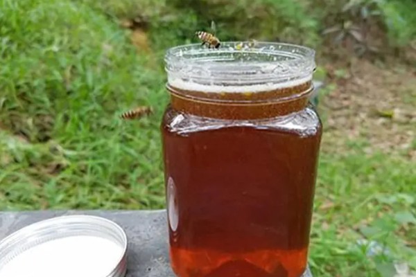桉树蜂蜜介绍，是蜜蜂采集桉树花蜜酿制成的