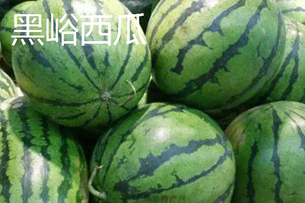 山东枣庄的特产,滕州松花蛋享誉国际市场