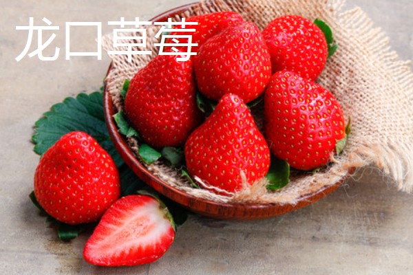 山东枣庄的特产,滕州松花蛋享誉国际市场