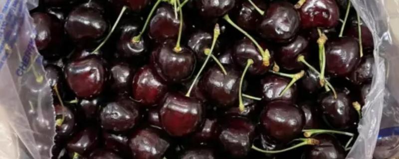 我国进口的车厘子是什么品种，以桑堤娜、拉宾斯、甜心等品种为主