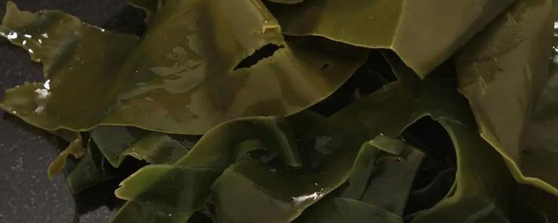 海带的产地在哪，在朝鲜北部、日本、南海等地均有分布