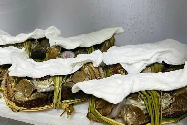 螃蟹死了能不能吃，在常温条件下死亡超过2小时便不能食用