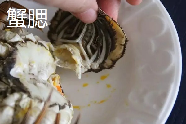螃蟹死了能不能吃，在常温条件下死亡超过2小时便不能食用
