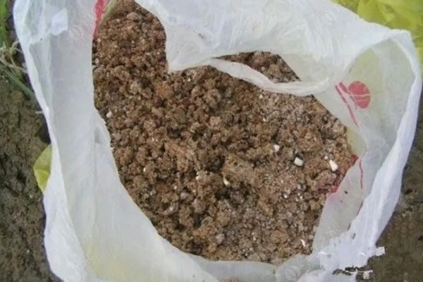 钓大鲤鱼一般用什么饵料打窝，可以用玉米或者麦粒