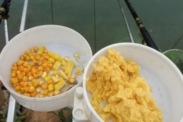钓大鲤鱼一般用什么饵料打窝，可以用玉米或者麦粒