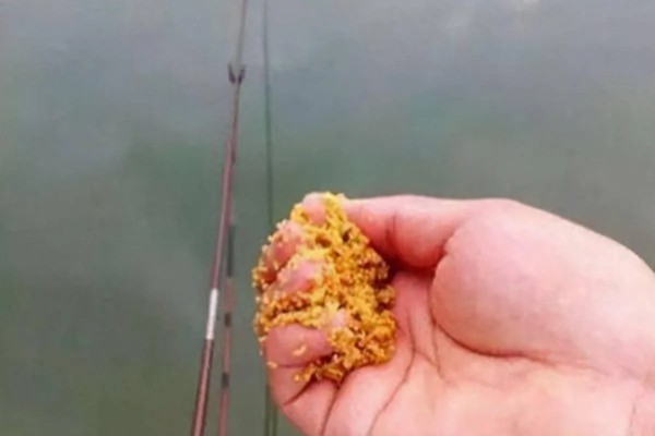 野钓如何选择鱼竿，用手竿效果最好
