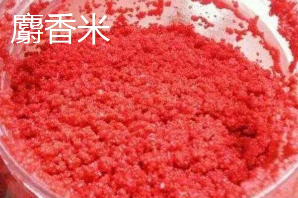 野钓如何选择鱼竿，用手竿效果最好