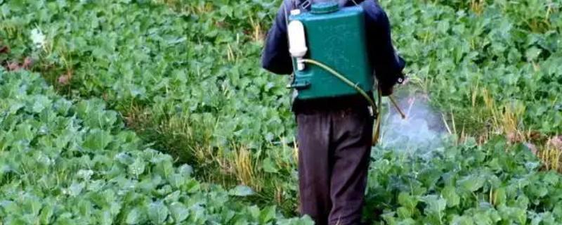 生物农药如何使用,在早晚时间使用为好