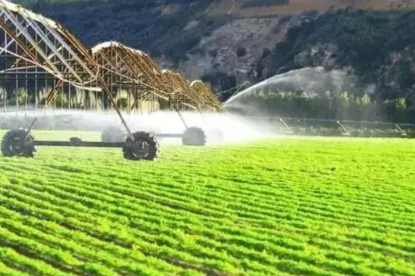 可持续农业从哪些方面考量,从建立可持续发展的农业生态系统等方面