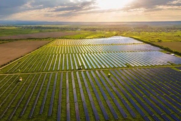 可持续农业从哪些方面考量,从建立可持续发展的农业生态系统等方面