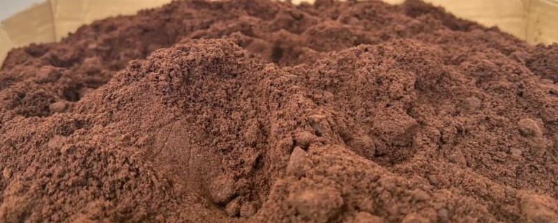 有哪些不适合咖啡渣的植物，常见的有栀子花、绿萝、吊兰等