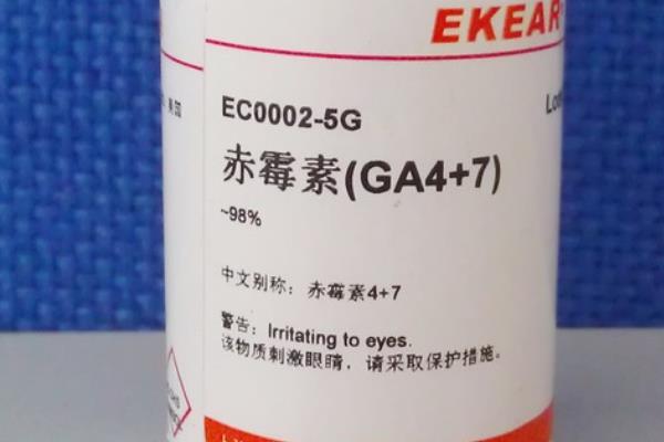 小叶黄杨的催芽方法，可以喷洒赤霉素