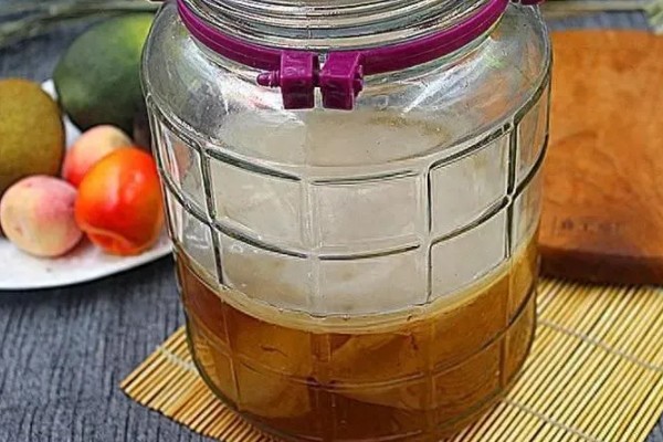 海宝菌的换水间隔，并无特殊要求可自行决定