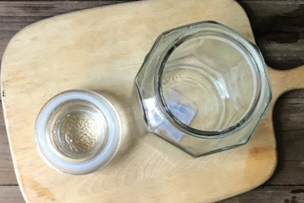 海宝菌的换水间隔，并无特殊要求可自行决定