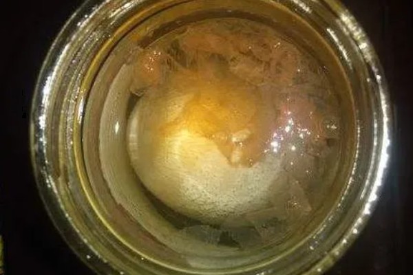 海宝菌的换水间隔，并无特殊要求可自行决定