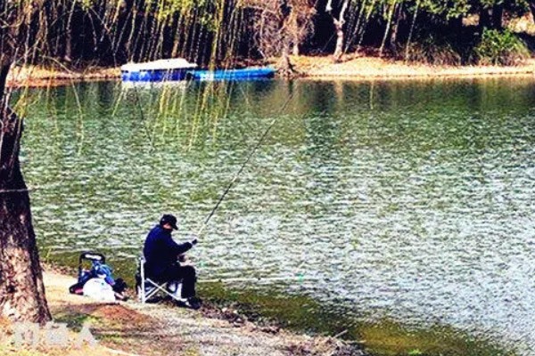 钓鲢鳙水深多少合适,2-3米垂钓合适