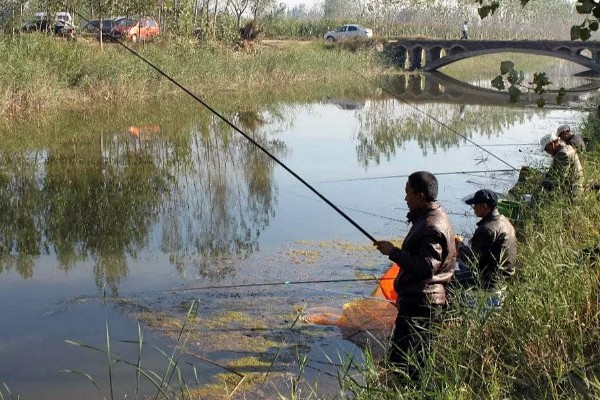 钓鲢鳙水深多少合适,2-3米垂钓合适
