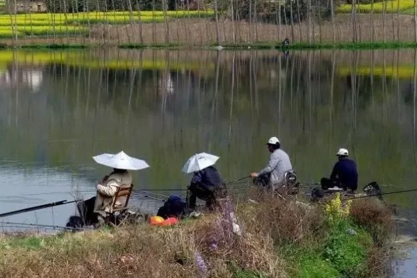 钓鲢鳙水深多少合适,2-3米垂钓合适