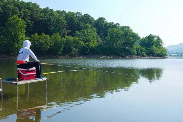 钓鲢鳙水深多少合适,2-3米垂钓合适
