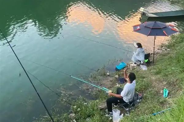 雅罗鱼简介，是常见的食用型鱼类