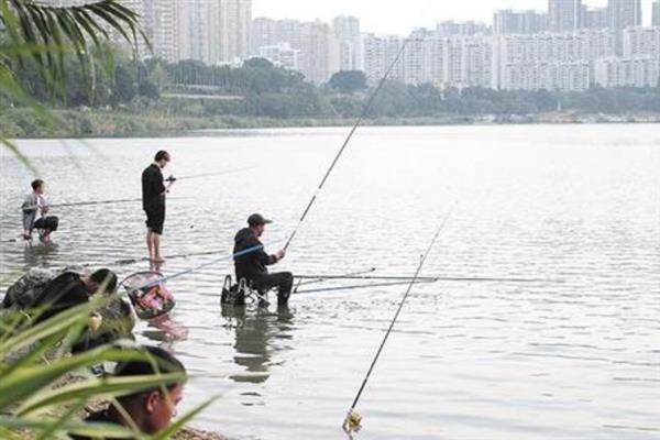 3.0号子线与几号伊势尼钩一起使用，搭配10-11号伊势尼钩比较合适