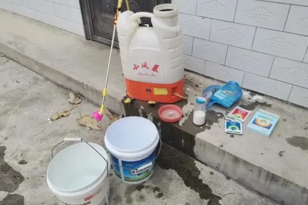 小麦一喷三防要注意什么，田间没有露水时才能打药