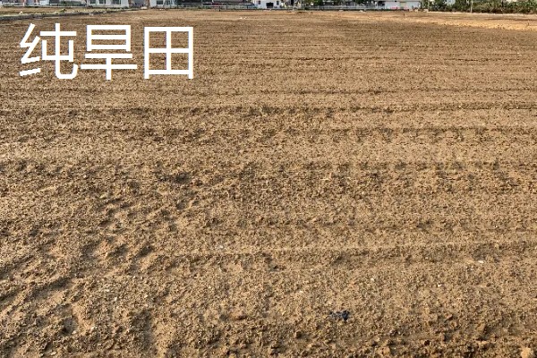 什么田地不适宜使用地膜，有纯旱田、沙土田等