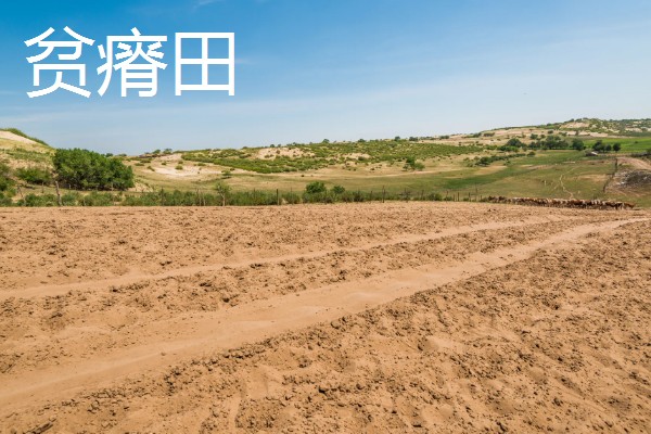 什么田地不适宜使用地膜，有纯旱田、沙土田等