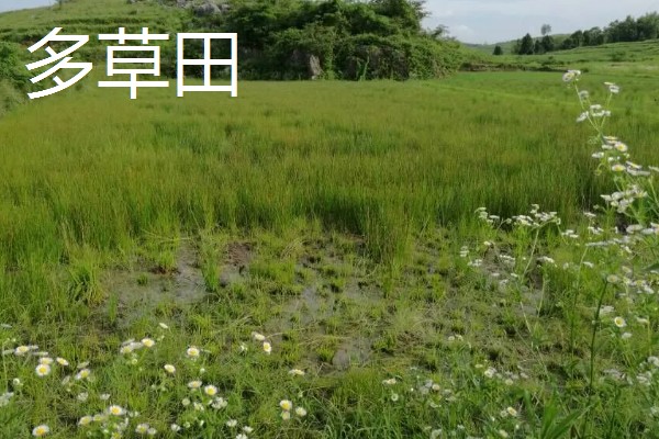 什么田地不适宜使用地膜，有纯旱田、沙土田等