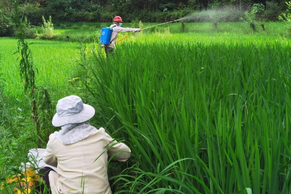 什么田地不适宜使用地膜，有纯旱田、沙土田等