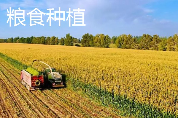 致富赚钱的方法，种植蔬菜水果、选择食品加工等项目均可获利